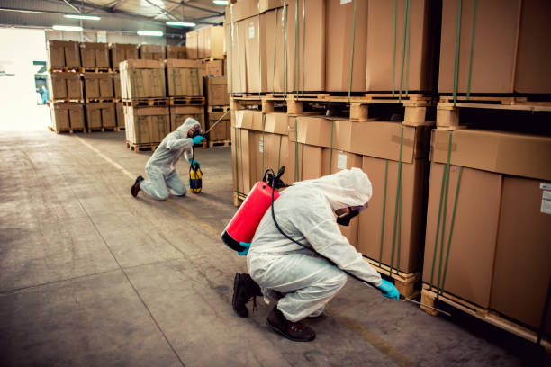 Reliable Millbrook, AL Pest Control Solutions