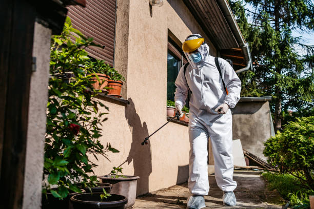Best Termite Control Services  in Millbrook, AL