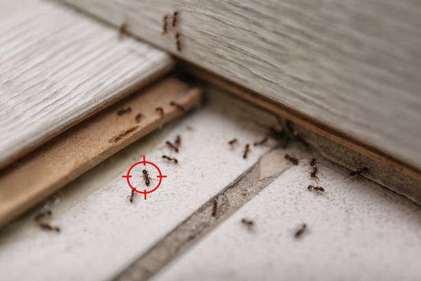 Pest Control Cost in Millbrook, AL