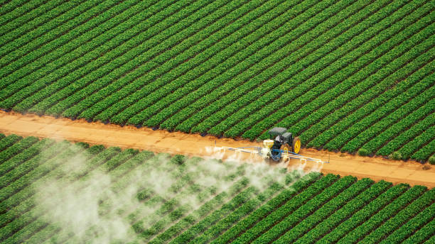 Best Local Pest Control Services  in Millbrook, AL