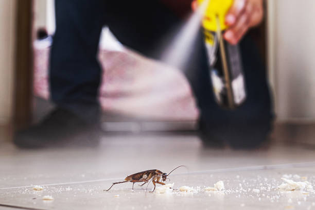 Best Pest Removal Services  in Millbrook, AL